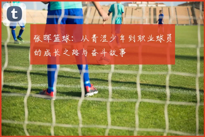 张晖篮球：从青涩少年到职业球员的成长之路与奋斗故事
