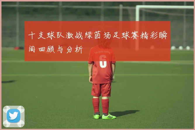 十支球队激战绿茵场足球赛精彩瞬间回顾与分析