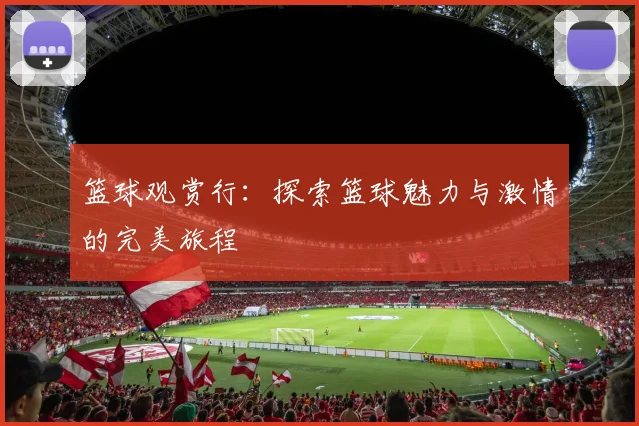 篮球观赏行：探索篮球魅力与激情的完美旅程