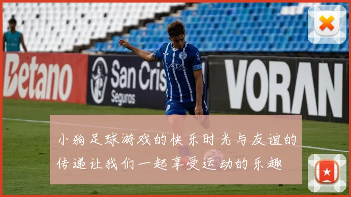 小狗足球游戏的快乐时光与友谊的传递让我们一起享受运动的乐趣