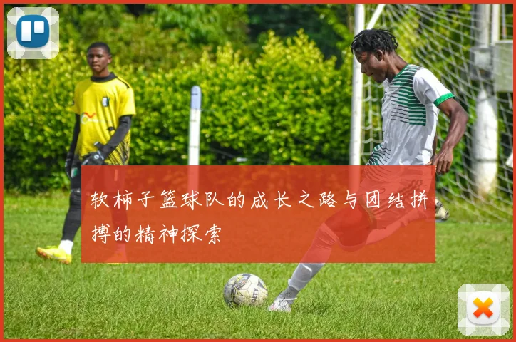 软柿子篮球队的成长之路与团结拼搏的精神探索