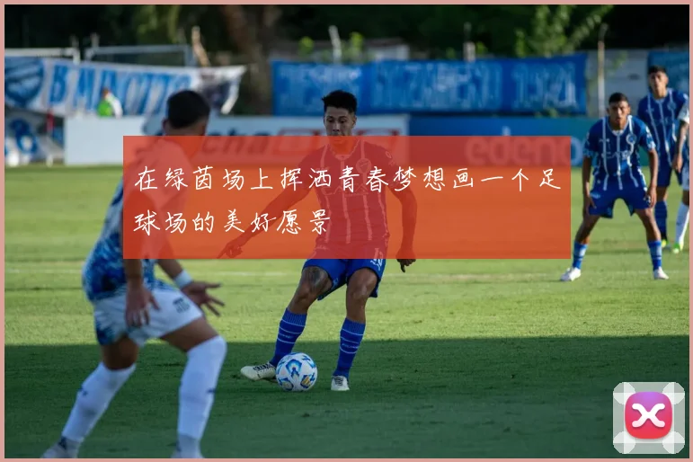 在绿茵场上挥洒青春梦想画一个足球场的美好愿景